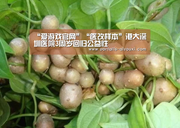 “爱游戏官网”“医改样本”港大深圳医院3周岁回归公益性(图1) 爱游戏