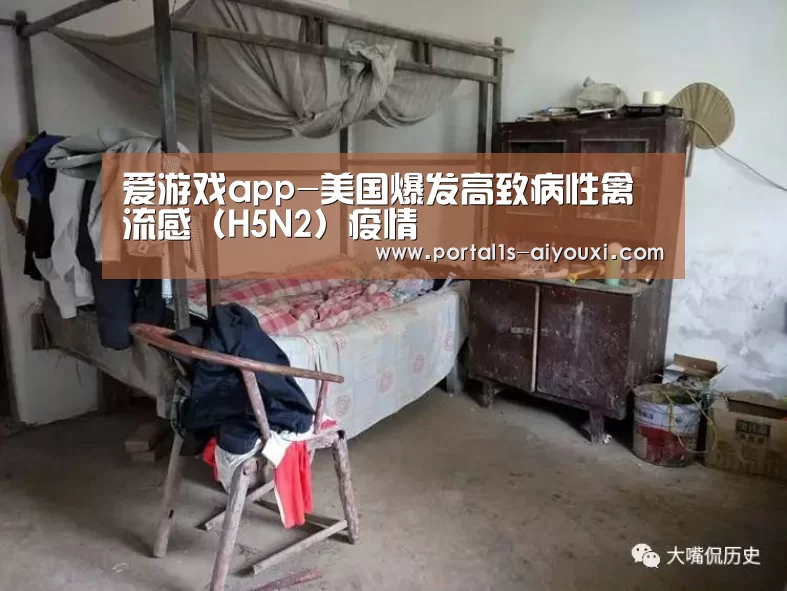 爱游戏