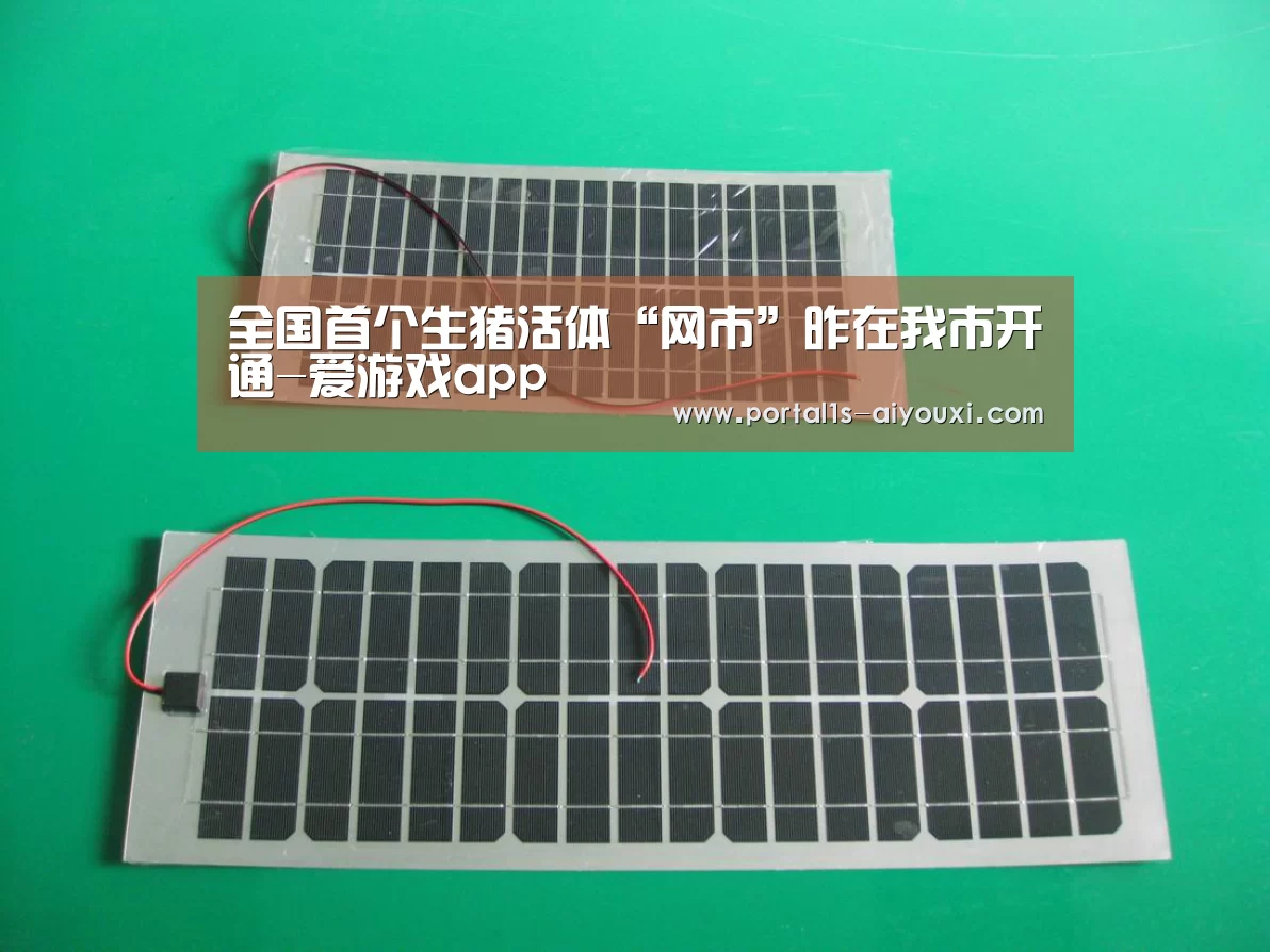 爱游戏app