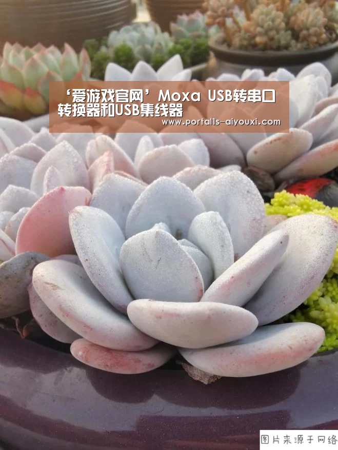 爱游戏app